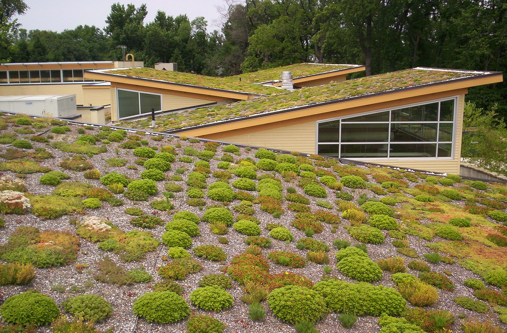 Zielony dach - źródło: https://www.flickr.com